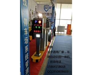 禹城胶州自动识别车牌系统，胶南智能车牌号系统生产商